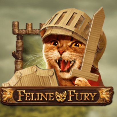 Feline Fury